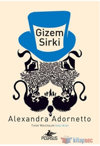 Gizem Sirki - Tuhaf Maceralar - İkinci Kitap kitap kapağı