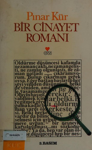 Bir cinayet romanı