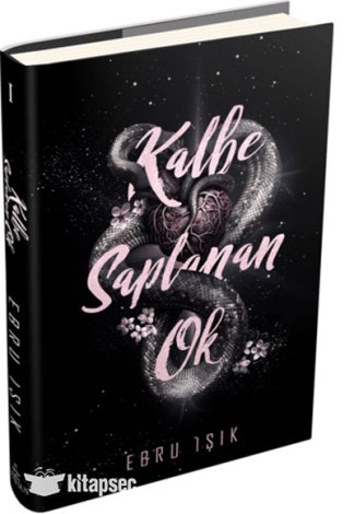 Kalbe Saplanan Ok 1