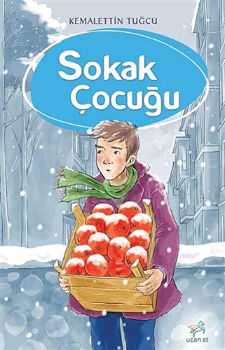 Sokak Cocugu