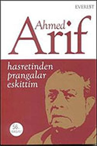 Hasretinden prangalar eskittim.