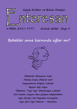Gel Hayattan Konusalim